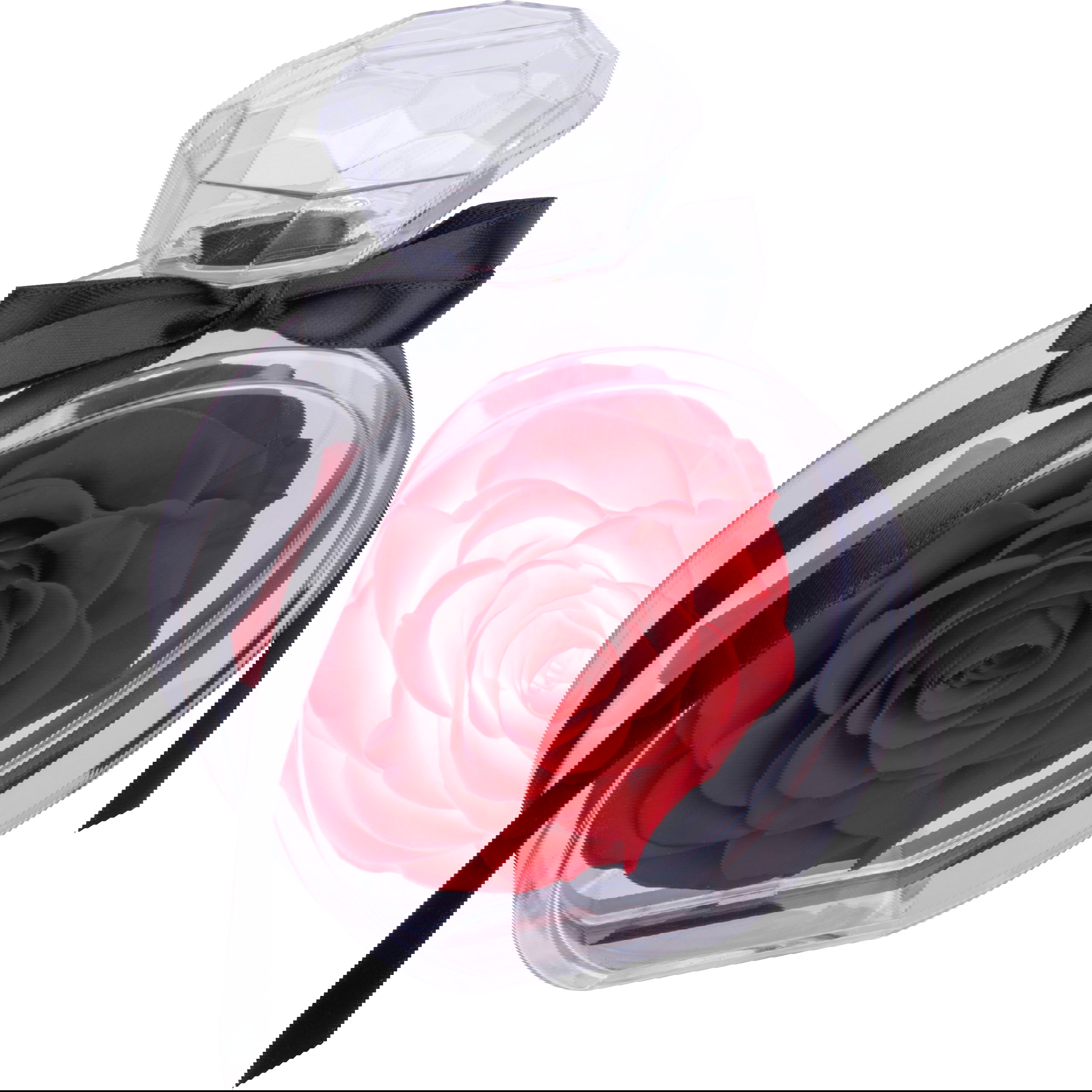 Konservierte Rose MARCELLA