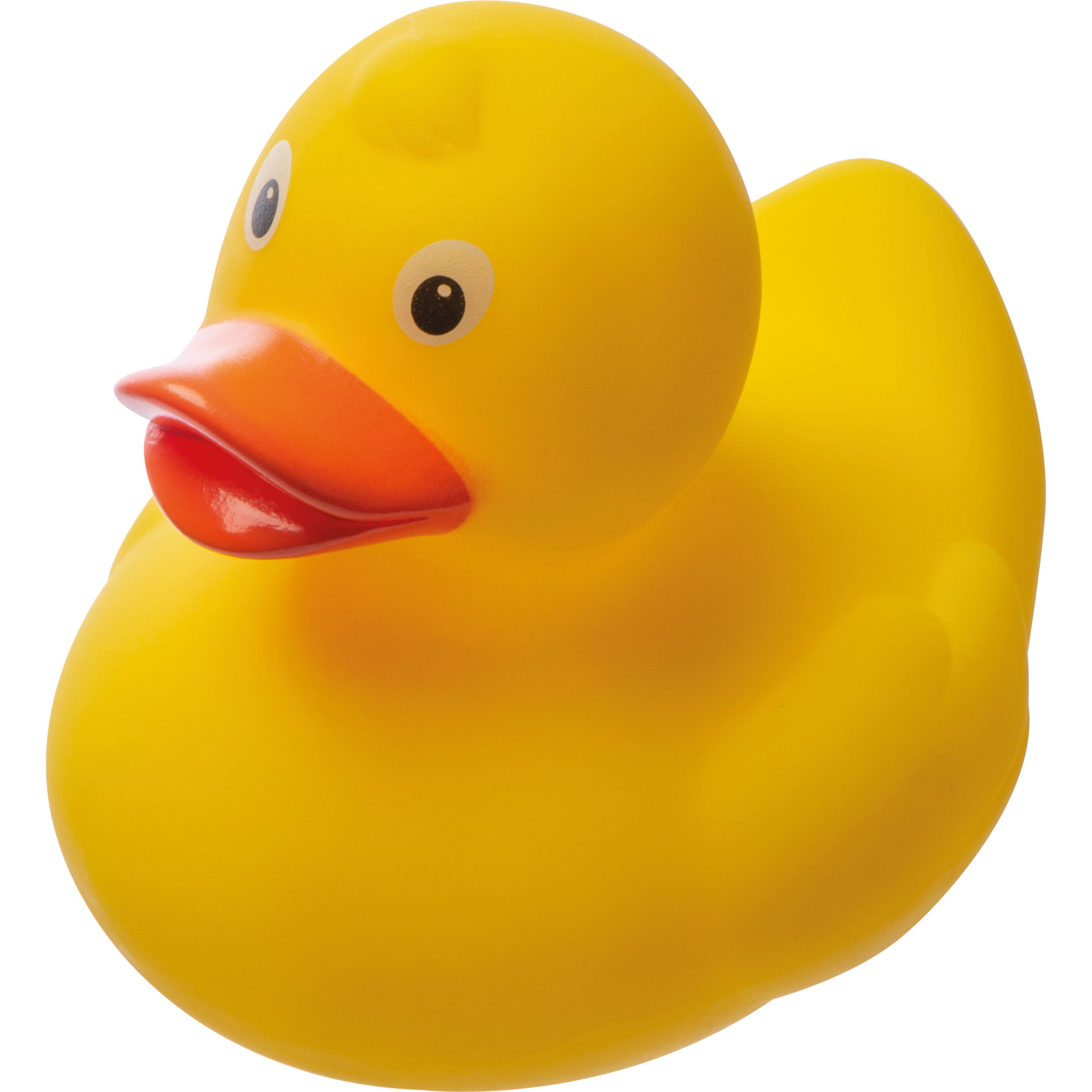 Canard couinant en PVC